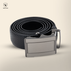 Alternative view of Belt